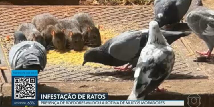 VÍDEOS: DF2 de segunda-feira, 25 de maio de 2026